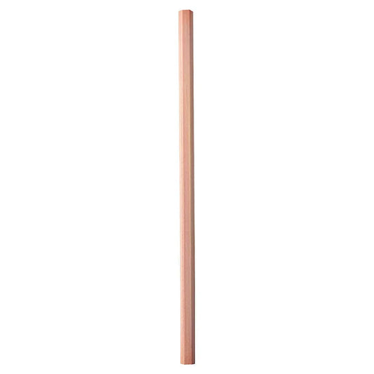 Pencil B (2 Pack)